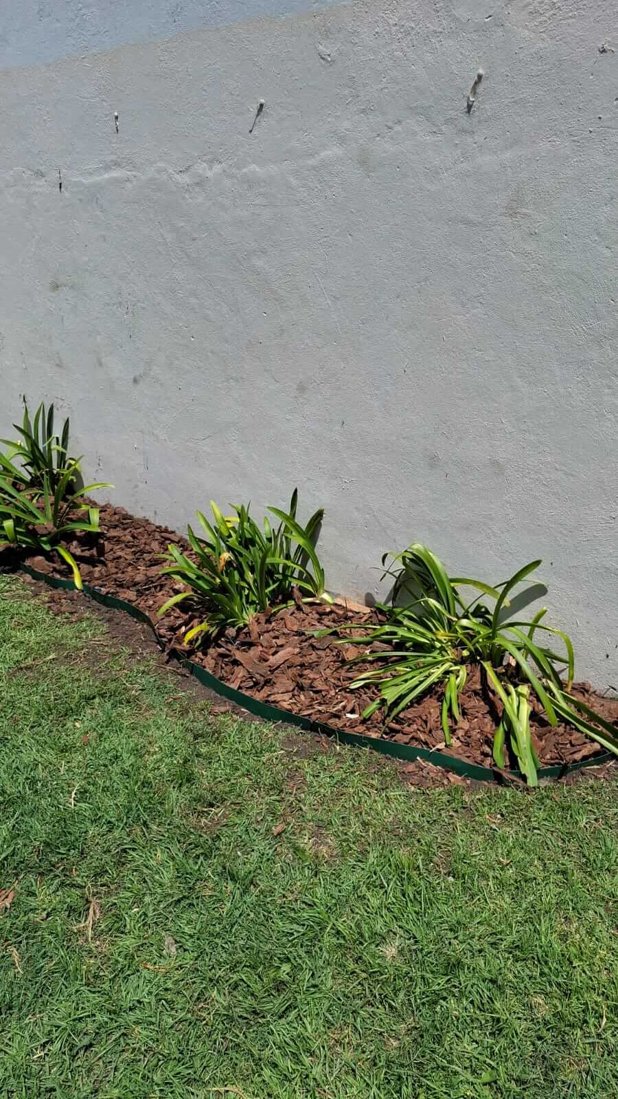 Diseño y construcción de espacios verdes